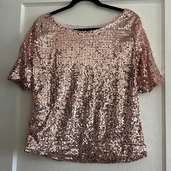 Blush Pink Sequin Top Size XL - Picture 1 of 10